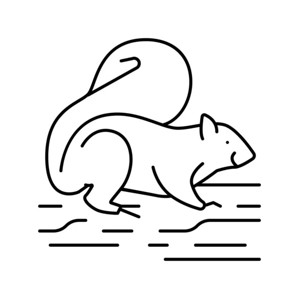 Squirrel wild animal line icon vector illustration — Stockvektor