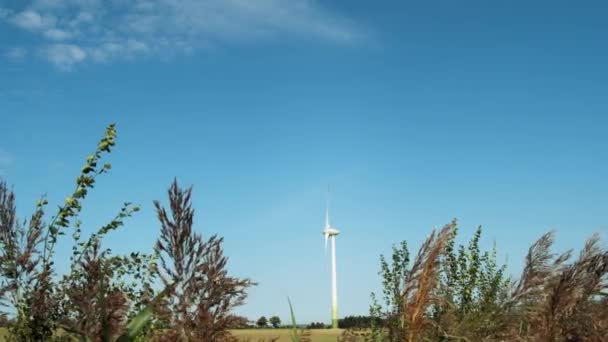 Molino de viento en campo de agricultores — Vídeo de stock