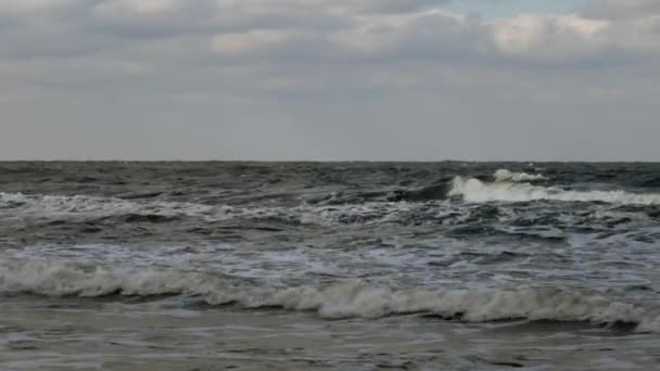 Ruwe zeegolven verpletteren — Stockvideo