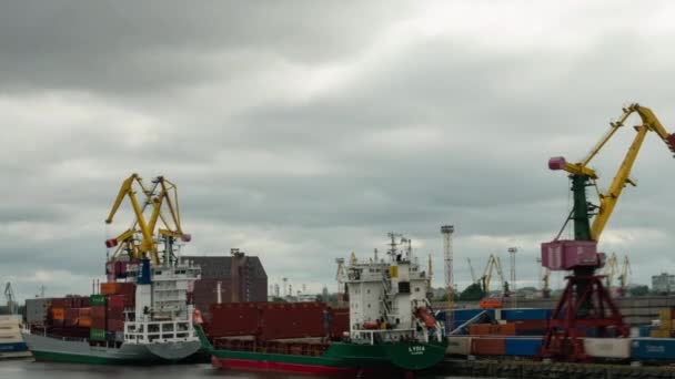 Een Droog vrachtschip wordt geladen in de haven — Stockvideo