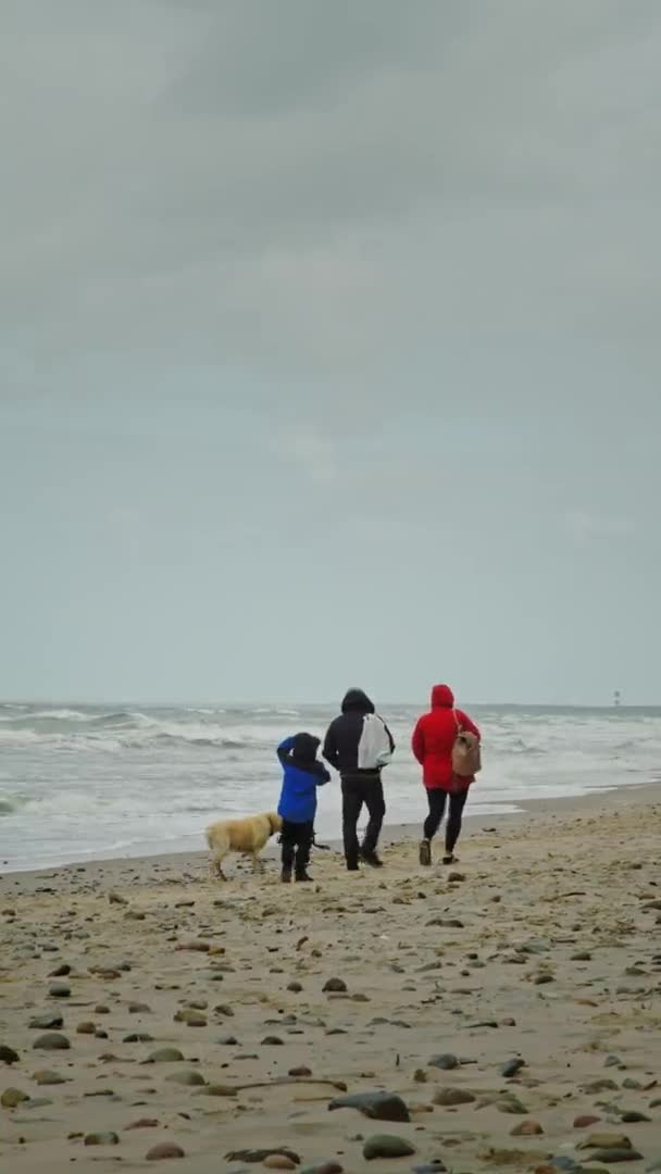 家族は犬と一緒に海辺を歩く — ストック動画