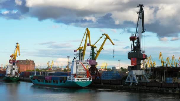 Ein trockenes Frachtschiff wird im Hafen beladen — Stockvideo