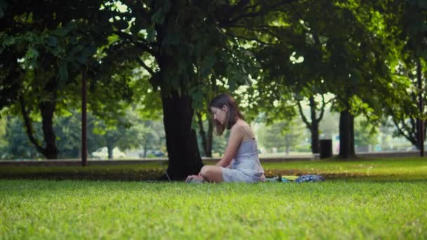 Egy lány a parkban számítógépet használ egy nagy fa alatt. — Stock videók