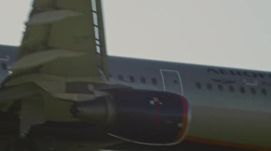 Airbus A321 Aeroflot Havayolları yaklaşıyor.