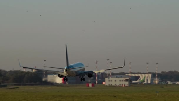 Boeing 737 Pobeda Airlines landt morgenochtend. — Stockvideo