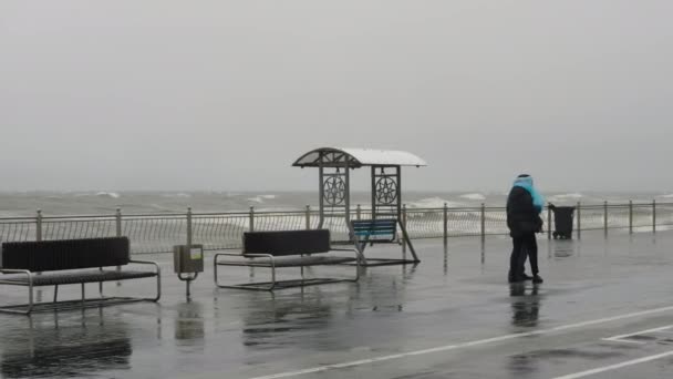 Deniz fırtınası sırasında yürüyen çift — Stok video