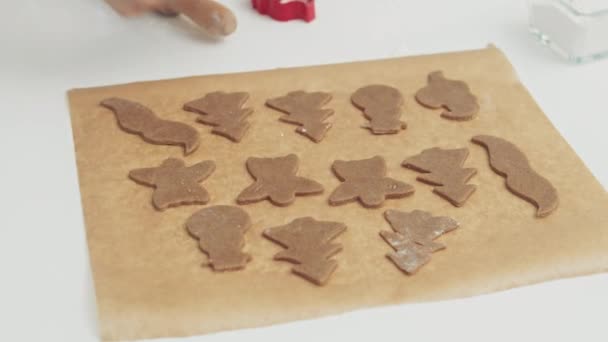 Raw gingerbread cookies on baking sheet — Stock Video