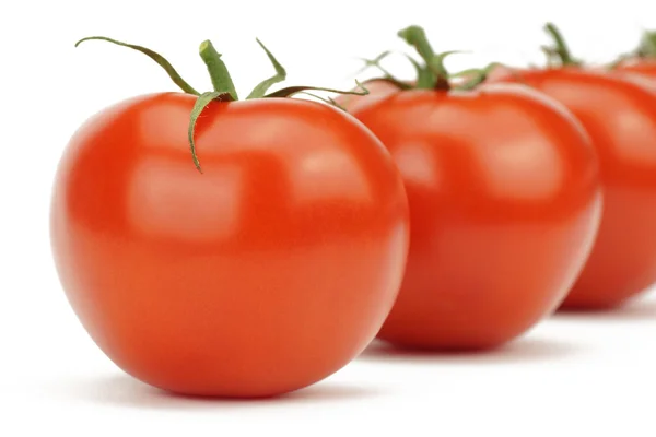 Tomaten op witte achtergrond Stockafbeelding