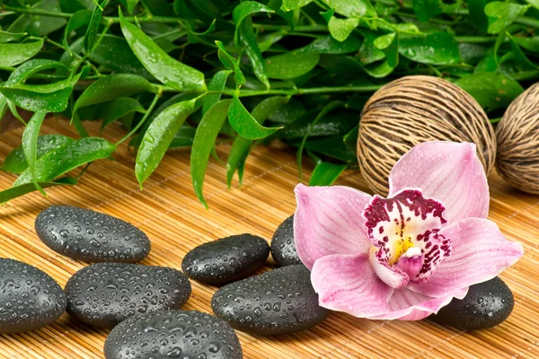 Pedras de Zen e flor de orquídea Fotos De Bancos De Imagens