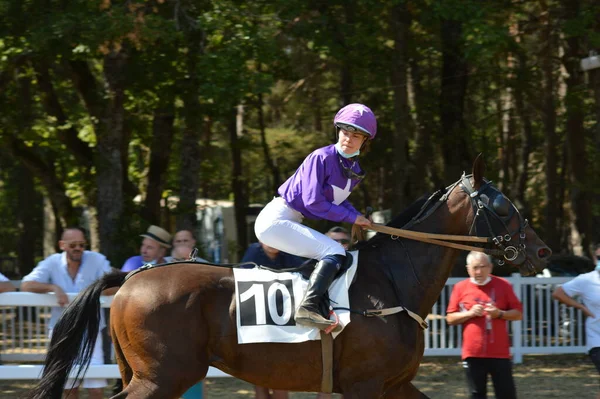 Vista Hipódromo Caballos — Foto de Stock