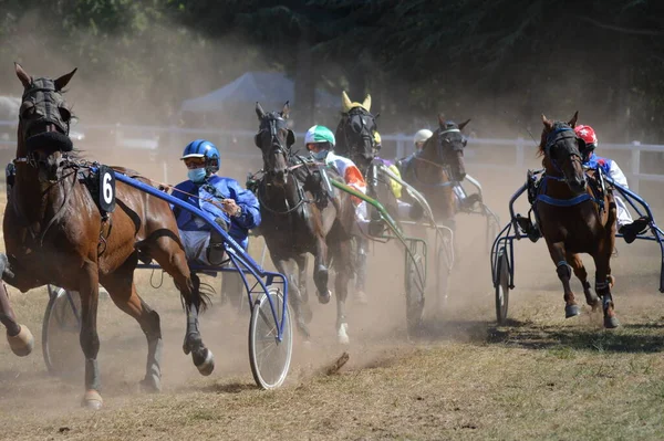 Vista Uma Pista Corrida Cavalos Fotos De Bancos De Imagens Sem Royalties