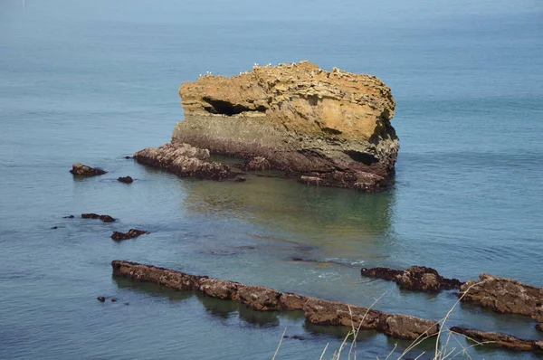 Lågt Tidvatten Kostnaden Från Biarritz — Stockfoto