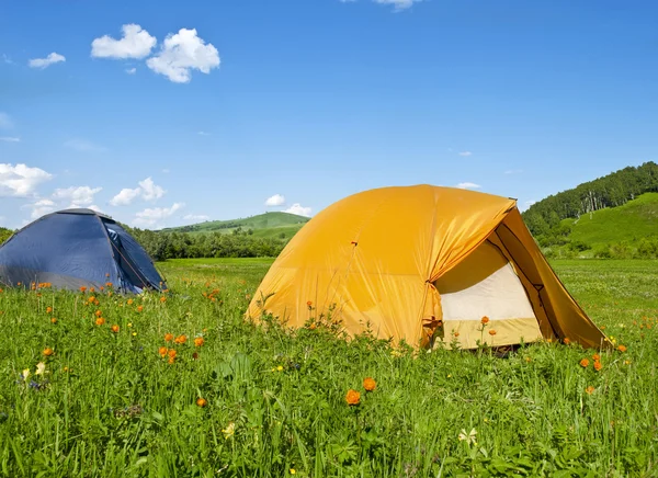 Zelte auf einer blühenden Wiese — Stockfoto