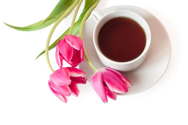 Tasse Tee und Tulpen — Stockfoto