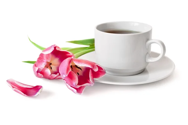 Tasse Tee und Tulpen — Stockfoto