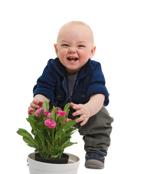 Rascal och blommor — Stockfoto