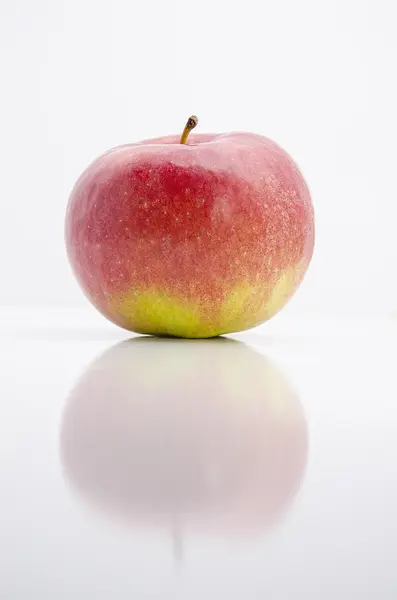 Aardappel — Stockfoto