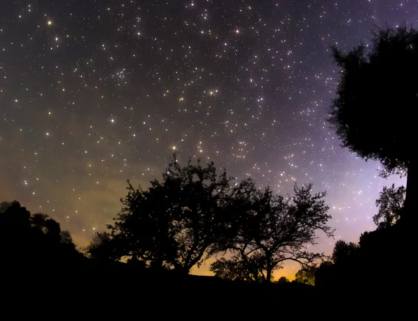 Cielo estrellado — Foto de Stock