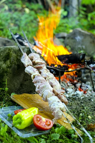 Kött för grillen — Stockfoto