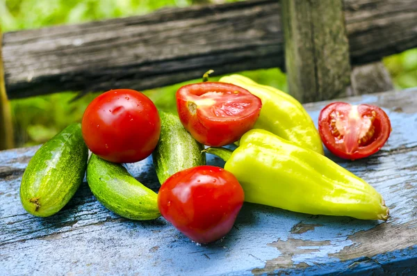 Tomaten, komkommers en de paprika — Stockfoto