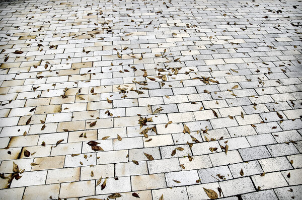 Paving stone and dry fallen yellow leaves