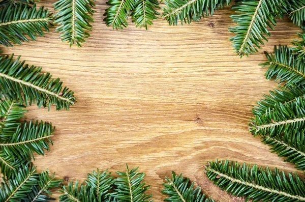 Christmas spruce frame — Stock Photo, Image