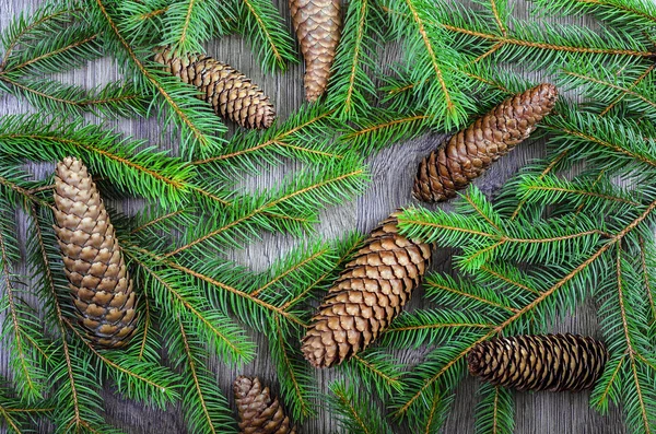Christmas spruce background — Stock Photo, Image