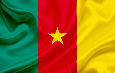 Flag of Cameroon