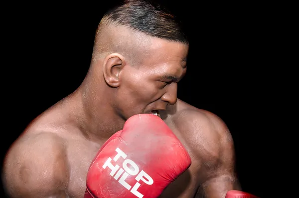 Mike Tyson. — Fotografia de Stock