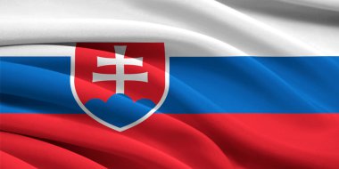 Slovakya bayrağı