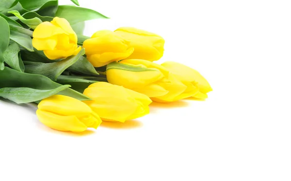 Yellow flowers — Stock Photo, Image