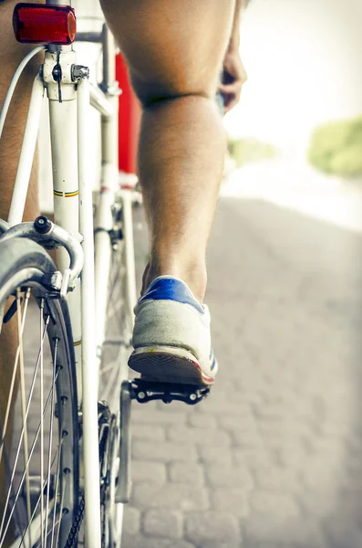 Gite in bicicletta — Foto Stock