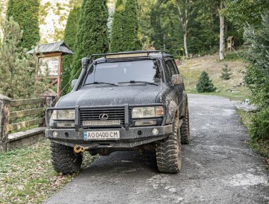 Uzhgorod, Ukrayna - 09 Ekim 2021: Ormanda eski bir SUV Lexus.