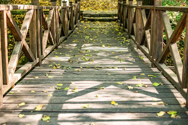 Puente Madera Sobre Arroyo Parque — Foto de Stock