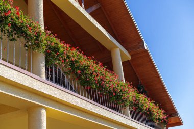 Evin bir kısmı güzel bir terası ve çiçeklerle dolu bir balkonu var..