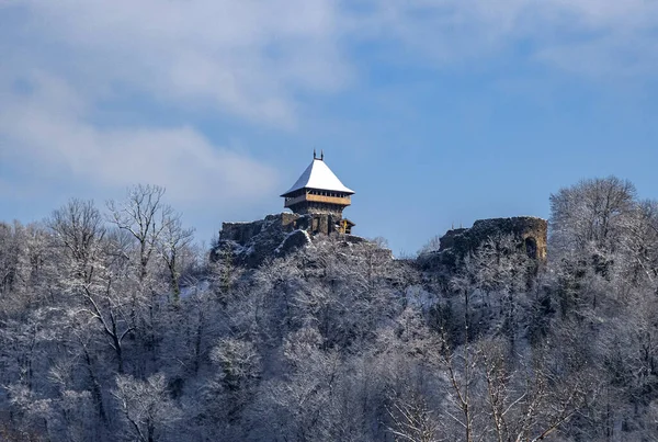 Nevitsky castle in winter. Ukraine. — Stock fotografie