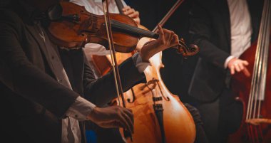 Müzisyenler konserde keman ve çello çalarlar.