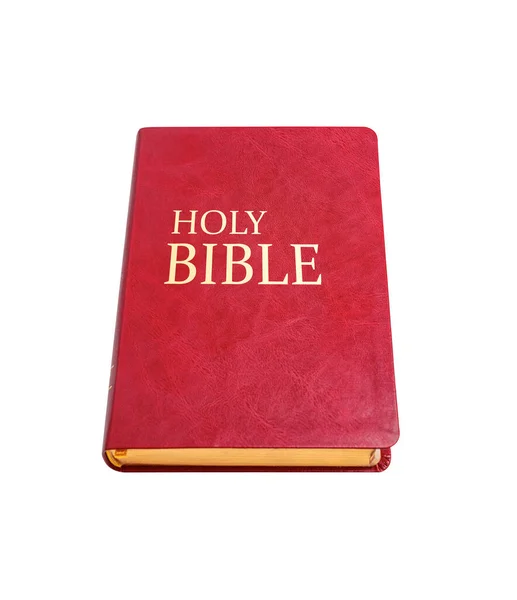 Holy Bible isolated on white background, — Stock Photo, Image