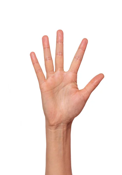 Frauenhand zeigt fünf Finger isoliert auf weißem Grund — Stockfoto