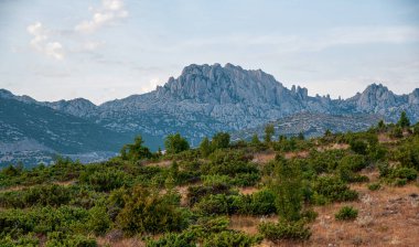 Hırvatistan 'daki Lale Dağı Grede