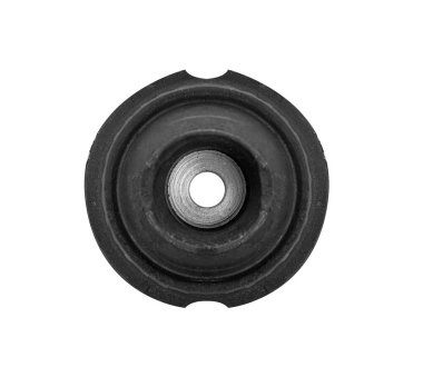 Car shock absorber support isolated
