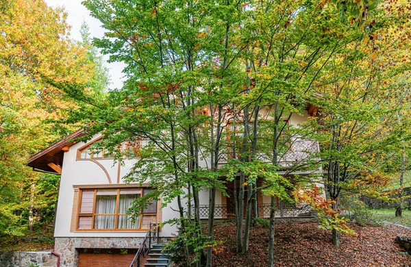 House in the forest. House on the background of the autumn forest.