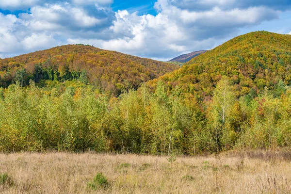 秋の森と山 森の中の美しい秋の風景 — ストック写真