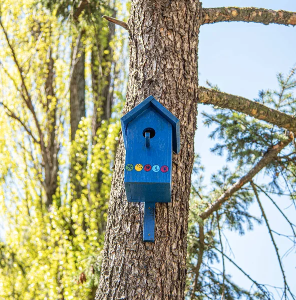 Parktaki Ağaçtaki Kuşlar Için Ahşap Kuş Yuvası — Stok fotoğraf