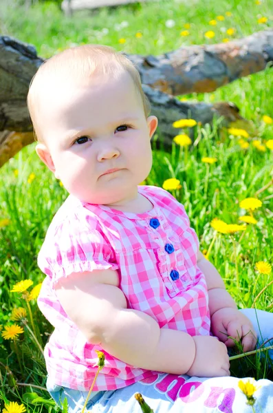 Güzel küçük bir kız yaz çayır üzerinde — Stok fotoğraf