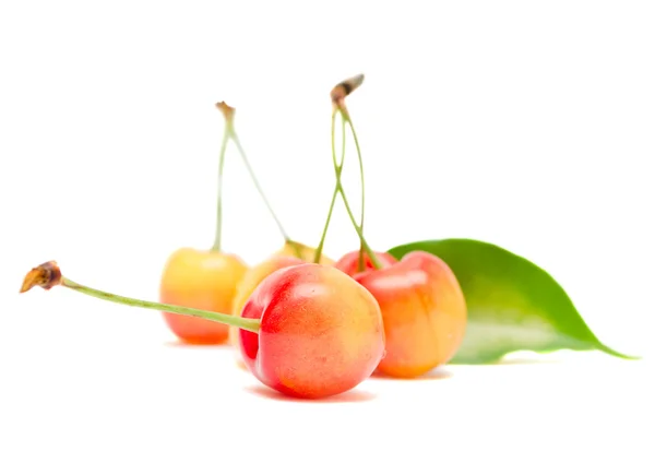 Fresh cherries on white background — Stock Photo, Image