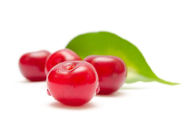 Ripe cherry fruit — Stock Photo, Image