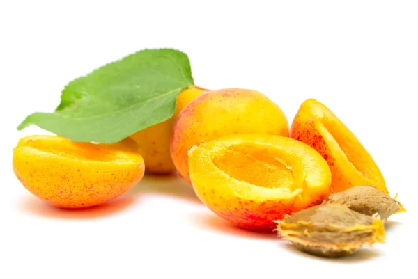 Apricot fruit — Stock Photo, Image