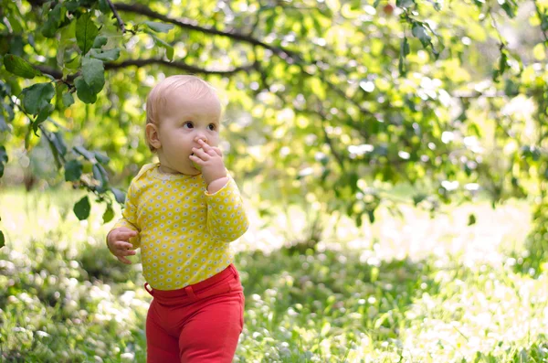 Girl in apple orchard — Stock Photo, Image