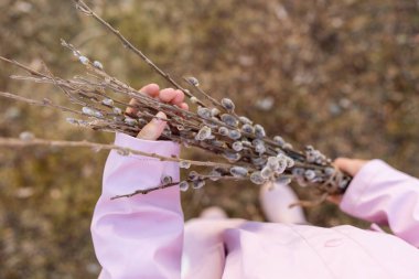 bouquet of spring branches of seals close-up in girl hands in pink raincoat and pink rubber boots, background easter pussy willow bouquet